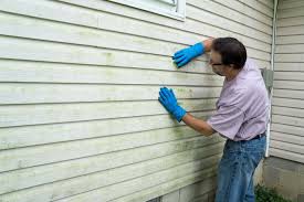 Affordable Siding Repair and Maintenance Services in Livingston, AL